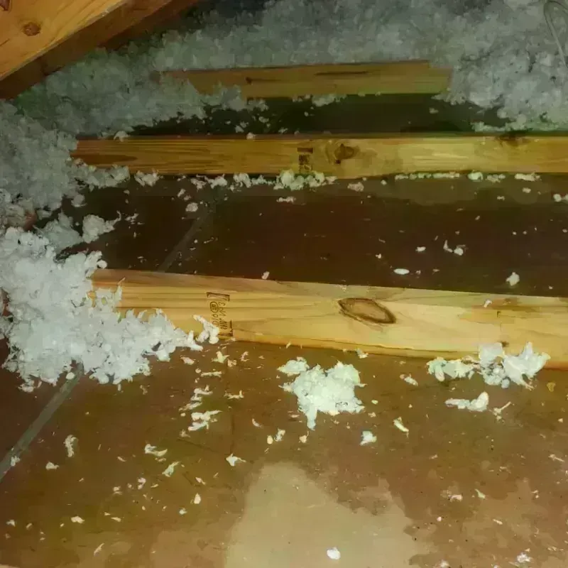 Attic Water Damage in Charleston, MS