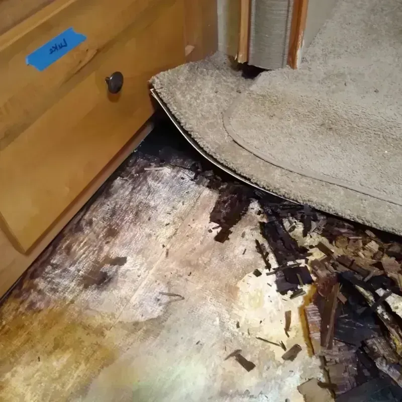 Wood Floor Water Damage in Charleston, MS